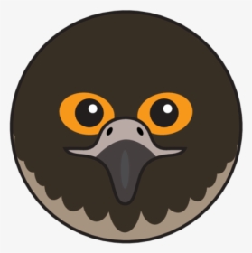 Animaru Peregrine Falcon - Cartoon, HD Png Download, Free Download