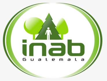 Mapa Oficial Sembrando Huella 2,019 - Instituto Nacional De Bosques De Guatemala, HD Png Download, Free Download