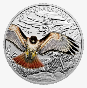Eagle,bald Eagle,peregrine Falcon,bird,bird Of Eagle,badge,wing,sea - Hawk Coin, HD Png Download, Free Download