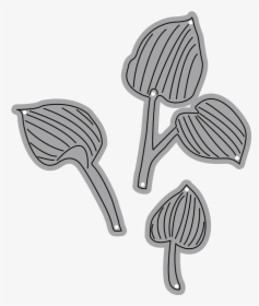 Garden Notes - Hosta Leaves - Illustration, HD Png Download, Free Download