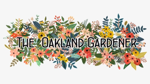 The Oakland Gardener - Illustration, HD Png Download, Free Download