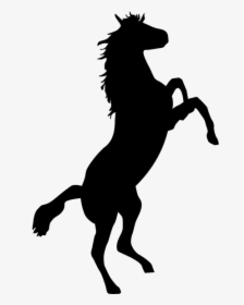 Horse Bronco Stallion Bronc Riding Clip Art - Animal Silhouettes Horse, HD Png Download, Free Download