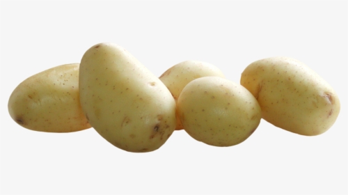 Clipart Vegetables Potato - All Vegetables Hd Png, Transparent Png, Free Download