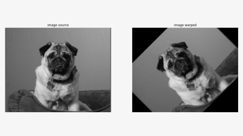 Images/warp Affine 4 1 - Pug, HD Png Download, Free Download