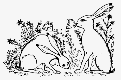 Hares In Grass - Hare, HD Png Download, Free Download