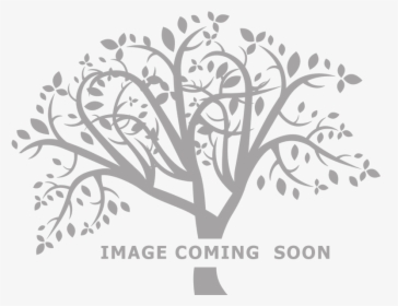 Family Tree Vector Png, Transparent Png, Free Download