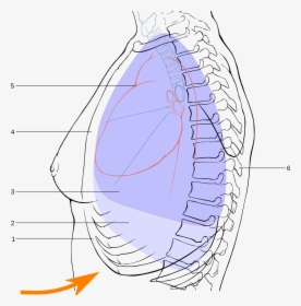 Diagram, HD Png Download, Free Download