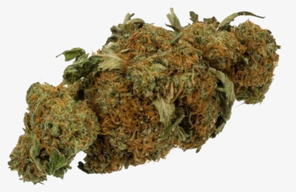 Red Headed Stranger Strain, HD Png Download, Free Download