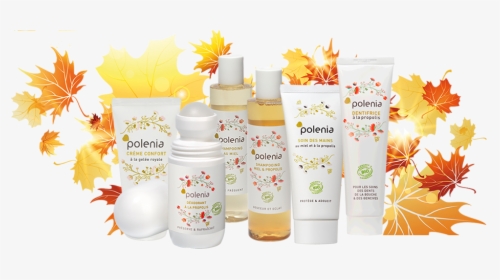 Shampooing Bio Miel Et Propolis , Png Download - Cream, Transparent Png, Free Download