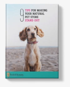 Rehoming Dog Quotes, HD Png Download, Free Download