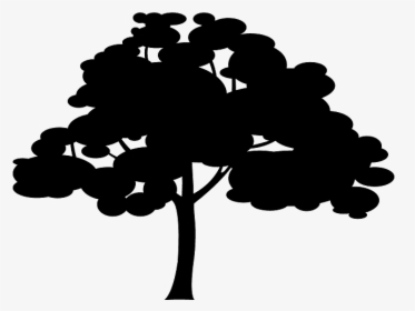 Silhouettes Arbres, HD Png Download, Free Download