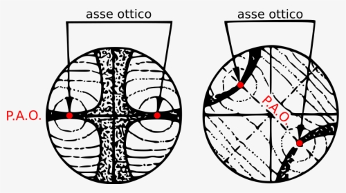 Figuras De Interferencia Biaxicas, HD Png Download, Free Download