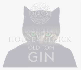 Transparent Old Banner Png - Black Cat, Png Download, Free Download