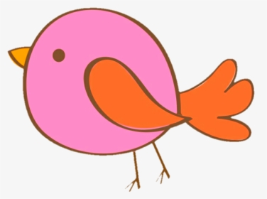 #bird #birdie #passaro #passarinho #🐦, HD Png Download, Free Download