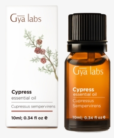Cypress, HD Png Download, Free Download