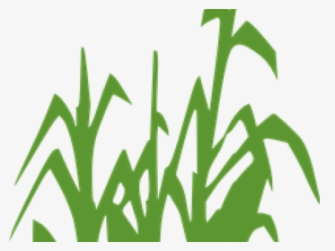 Korn Clipart Corn Field - Corn Stalk Clipart Black And White, HD Png Download, Free Download