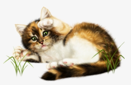 #kitten #kitty #cat #cute #playtime #layingdown #ftestickers - Sonntag Bilder Gratis, HD Png Download, Free Download