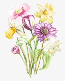 Drawn Flower Transparent - Colorful Flowers Png Drawing, Png Download, Free Download