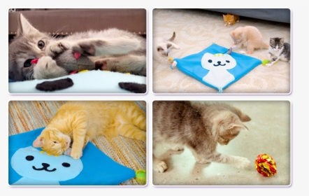 Kitty Cat Mat, HD Png Download, Free Download