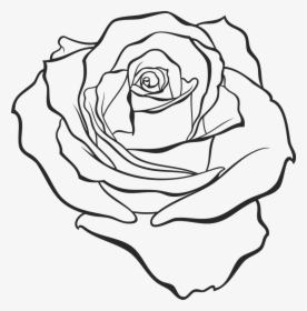 Transparent Drawn Rose, HD Png Download, Free Download