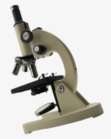 Transparent Microscope Vector Png - Microscope Hd Png, Png Download, Free Download