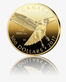 Transparent Red Tailed Hawk Png - Coin, Png Download, Free Download