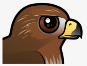 Red Tailed Hawk Clipart, HD Png Download, Free Download