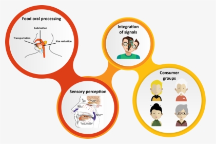 Sensory Perception Of Food, HD Png Download, Free Download