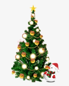 El Árbol De Navidad Y El Muñeco De Nieve Png Transparente - Christmas Tree In Papua New Guinea, Png Download, Free Download