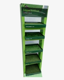 Artificial Grass Costa Blanca Spain - Shelf, HD Png Download, Free Download