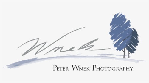 Peter Wnek - Calligraphy, HD Png Download, Free Download