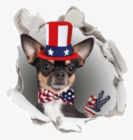 Chihuahua, HD Png Download, Free Download