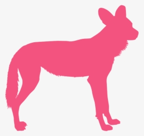 Dog, HD Png Download, Free Download