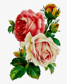Flower Bouquet Cut Flowers Floral Design Vase - Rose Painting Transparent, HD Png Download, Free Download