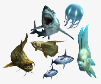 Thumb Image - Monster Hunter Tri Monster, HD Png Download, Free Download