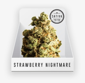 Strawberry Nightmare, HD Png Download, Free Download