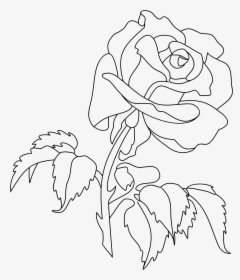 White Rose Clipart Trace - Rose Line Art, HD Png Download, Free Download