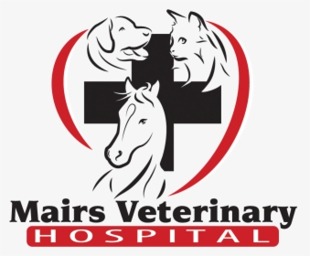 Mairs Veterinary Hospital - Stallion, HD Png Download, Free Download