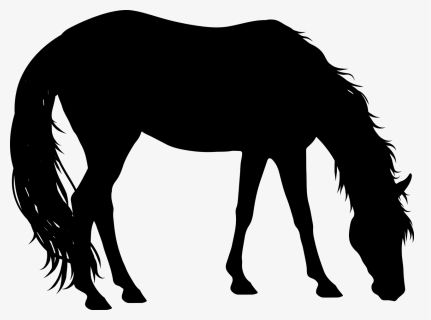 Free Horse Eating Grass Silhouette, HD Png Download, Free Download