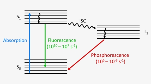 Jablonski Diagram - Fluorescence And Phosphorescence Diagram, HD Png Download, Free Download