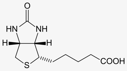 Biotin Structure, HD Png Download, Free Download