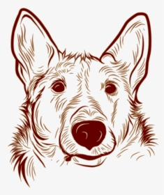 Old English Terrier, HD Png Download, Free Download