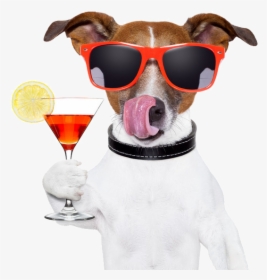 Sun Drink Dog Red Wine Png Free Photo Clipart - Dog With Sunglasses Transparent Background, Png Download, Free Download