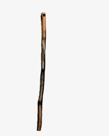 Tree Stick Png, Transparent Png, Free Download