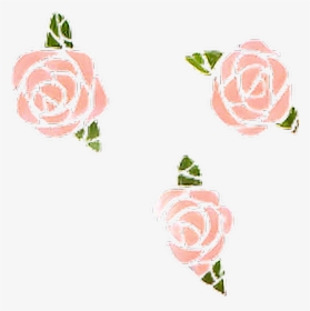 Roses Rosestencil Stencil Pinkrose Roosestamps Stamps - Garden Roses, HD Png Download, Free Download
