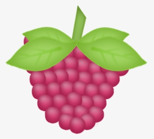 Berries,grape,clipart - Grape, HD Png Download, Free Download