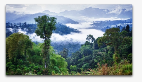 Amazon Clouds - Amazon Rainforest Brazil, HD Png Download, Free Download
