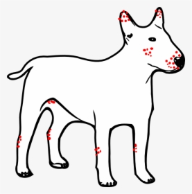 White Outlines Of A Dog, HD Png Download, Free Download