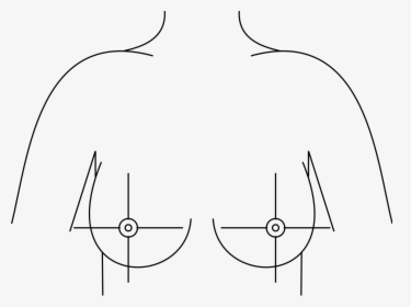 Breast Drawing With Quadrants, HD Png Download, Free Download