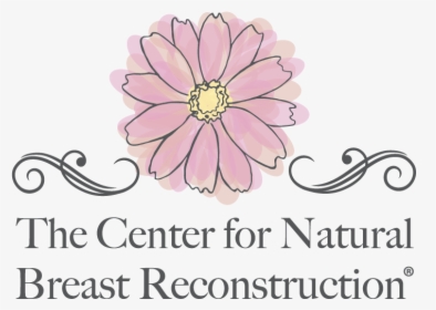 The Center For Natural Breast Reconstruction - Omeoenergetica, HD Png Download, Free Download